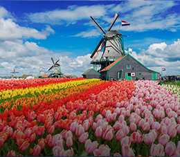 Netherlands Schengen Visa Process | Documents required for Netherlands Visa