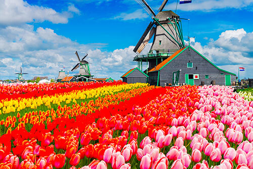 Netherlands Visa for Indians | Netherlands Tourist Visa